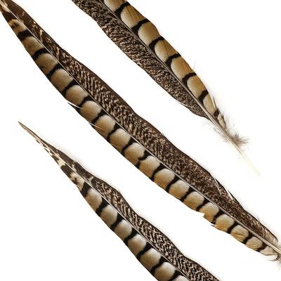 China Cheap Natural Lady Amherst Pheasant Tail Party/Wedding/Sale 30-35cm Carnival Decoration/Grament Feather For Carnival Dance Props Decoration for sale