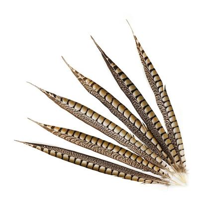 China Cheap Natural Lady Amherst Pheasant Tail Party/Wedding/Sale 40-50cm Carnival Decoration/Grament Feather For Carnival Dance Props Decoration for sale