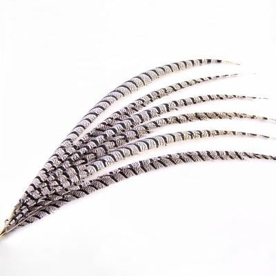 China Feather 30-35inch, 35-40inch lady's zebra pheasant tail feather for carnival headdress stage girl wings decor costume for sale