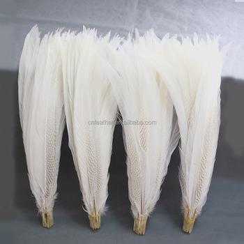 China White Pheasant Feather 70-75cm Large Feathers For Sale Silver Pheasant Tail Feather For Samba Costume Carnival Decoration for sale