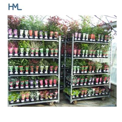 China Display Good Quality Display Garden Greenhouse Dane Flower Customized Galvanized Cart for sale