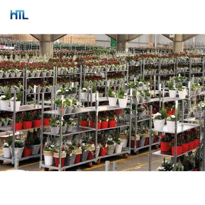 China Display Metal Galvanized Metal Transport Nursery Greenhouse Dane Flower Display Cart for sale