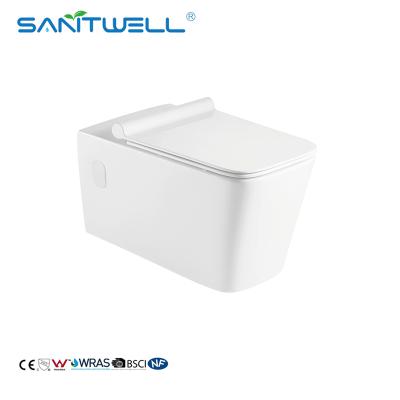 China Hidden Cistern Toilet Ceramic Wall Mounted Toilet Sanitary Ware For Bathroom for sale