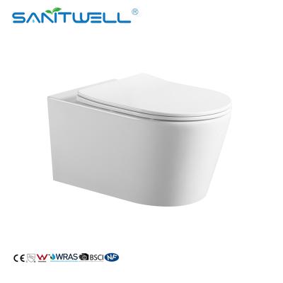 China Concealed Tank Sanitwell Bathroom Commode Washdown Wall Hung Toilet Sanitary Rimless Flush System for sale