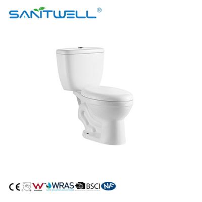 China Double Space Saving Double Seat Bidet Flush Ceramic Toilet Commercial Toilet SWS9021 for sale