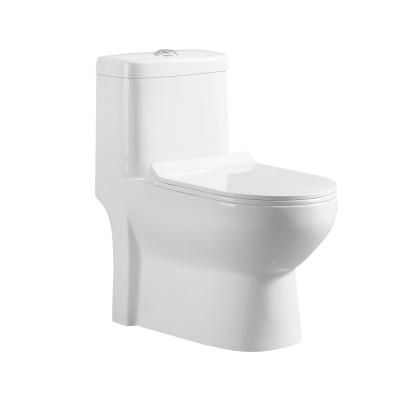 China Double-Flow Washdown Easy Cleaning One Piece Toilets With Standard Size For Multifunction Use for sale