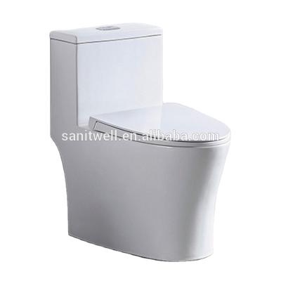 China Romantic Artistic Ceramic Double-Flow Washdown One Piece Toilet With Added Components for sale