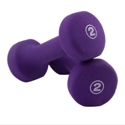 China Wholesale Dumbbell PROIRON Plastic Dip In Weights Adjustable Neoprene Dumbbell Dip Hand Weights for sale