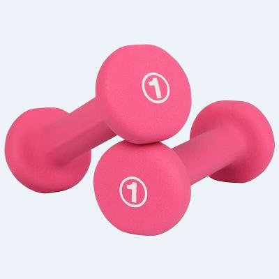 China PROIRON Hot Sale Home Gym Fitness Exercise Neoprene Dumbbells Eco-Friendly Set Customized Dumbbells Vinyl Dumbbells for sale