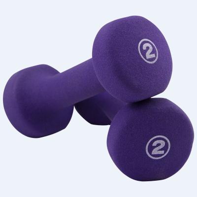 China Dumbbell PROIRON Fitness Household Small Dumbbell Plastic Dip Set Fitness Men And Women Training Neoprene Plastic Scrub Dumbbells for sale