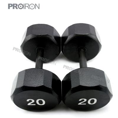 China Fitness Sponge Type Dumbbell Wholesale 20 Pound ECO Painted Hex Dumbbells for sale