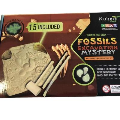 China Fossil Excavation Kit 171 for sale