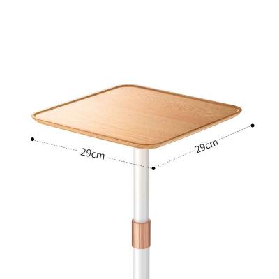 China Universal Floor Standing Tray Holder Stand Outdoor PORTABLE Solid Base Notebook Projector for sale