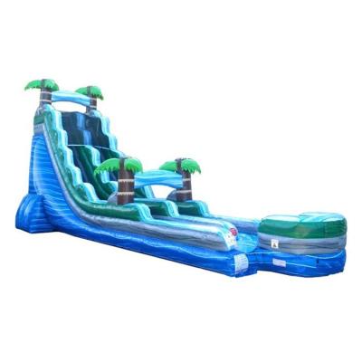 China Unisex Bouncy House Slide Inflatable Jumping Air Bouncer Slide for Pool 5-10 Passengers for sale