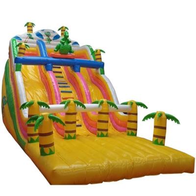 China Blower Included Inflatable Water Slide Outdoor Dry Indoor Air Slides for Kids and Adults for sale