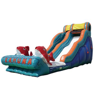 China Commercial Occasions Inflatable Jumper Water Slide with Pool 2 Carps Slide for sale