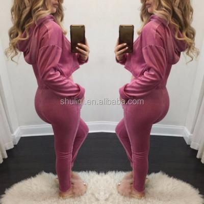 China Bulk antibacterial design sports tracksuit polyester/cotton pleuche women's plain tracksuit wholesale for sale