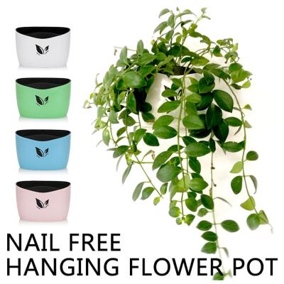 China Free Self Watering Plastic Nail Plant Flower Pot Wall Hanging Planter House Garden for sale