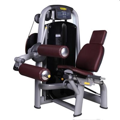 China Commercial Use Made In China Store Luxury Strength Training Equipment Double Leg Loop And Extension for sale