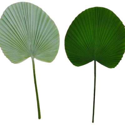 China New Arrival Plastic Brown Copper Green Leaf Decorative Artificial Plants for sale