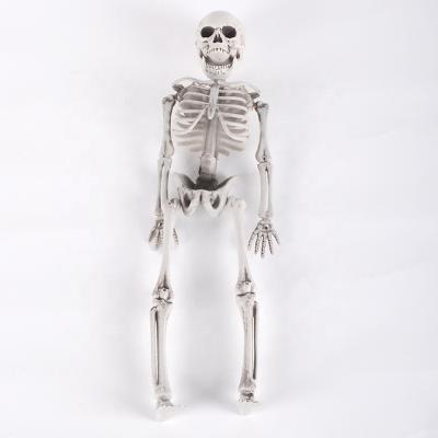 China Halloween Decoration 70XM Disposable Eco-friendly Human Skeleton Human Hanging Skeletons for sale