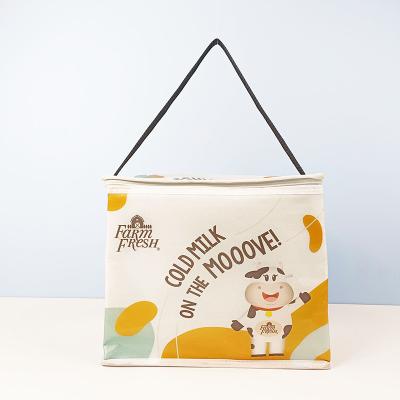 China Custom Logo Lunch Cooler Insulated Travel Custom Waterproof Picnic Nonwoven Thermal Bag Soft Tote Cooler Box for sale