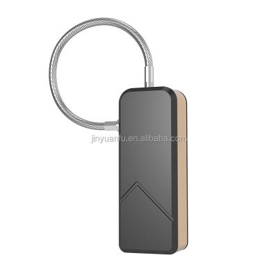 China IP65 Stainless + Zinc Alloy Steel Wire Waterproof Cute Small Fingerprint Smart Padlock For Luggage for sale