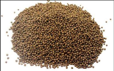 China Wet And Dry Fish Fish Feed Pellets Machine Food Production Line Price for sale