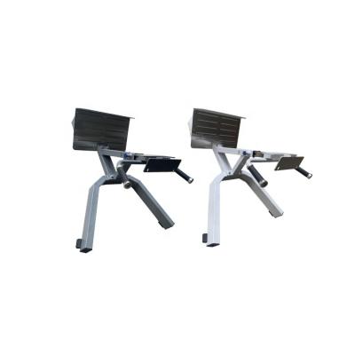 China Home Use Purchase Custom Exercise Machine Commercial Gym Equipment Back Extension Roman Chair For Sale for sale