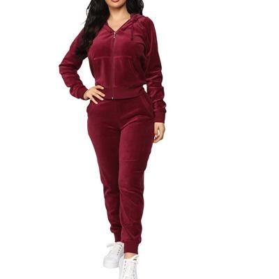 China Anti-Wrinkle Women / Ladies Velvet Hoodie And Sports Pants Set Sweatsuit / Tracksuit Gym for sale