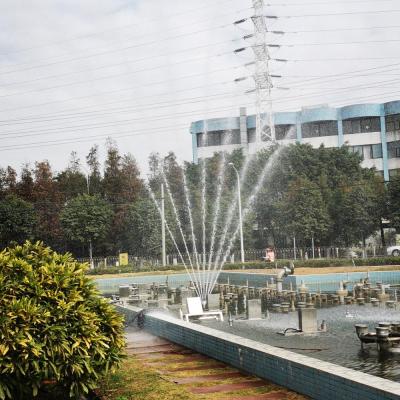 China Outdoor Factory Price Dancing Phoenix Tail Modern Decorative Water Fountain for sale