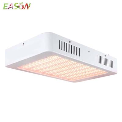 China Full Spectrum LED Grow Light Eason Manufacturer Wholesale Assurance Hydroponic Gardening Light 240W Led Cob Grow Light For Flower Garden Vegetable Greenhouse for sale