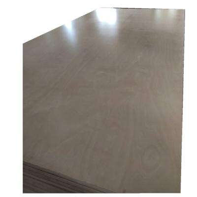 China Modern JIA MU JIA For Furniture Decoration 18mm Birch 3/4x4x8 Core EPA Carb BB UV Birch Plywood for sale