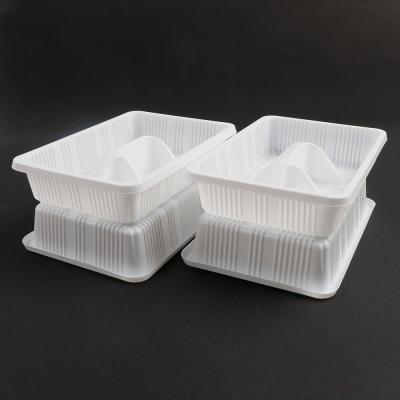 China Disposable Dumpling pp Blanks Tray Plastic Kitchen Small Fresh Trays 18.5*12.5*3.8cm Rectangular For Kitchen Frozen Food Packaging for sale