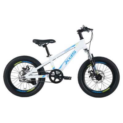 China Aluminum Alloy Children's Bicycle 20