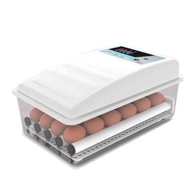 China Good quality poultry farm use small chicken duck goose quail pigeon turkey turkey egg incubator home hatcher for sale in India Nepal Pakistan for sale