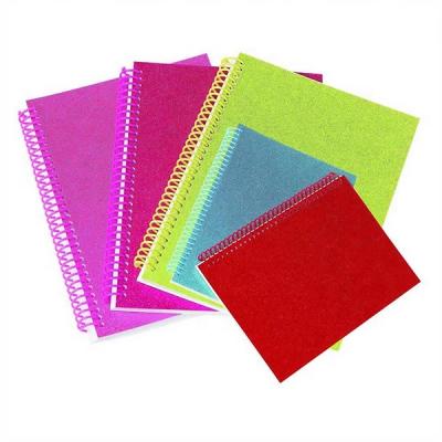 China Cheap Custom Promotion Gift Item Spiral PP Notebook for sale