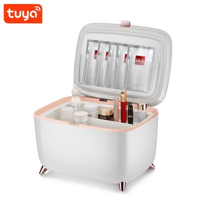 China COMPRESSOR Aimgal Beauty Fridge Economical Custom Design Car Refrigerators Mini Refrigerator Beauty Fridge for sale