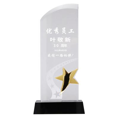 China Global Business Awards Free Design Star K9 Crystal Trophy for sale