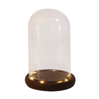 China Europe Europe Wholesale Glass Domes With LED Light For Flower Home Decoration for sale