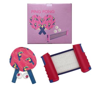 China Wooden +Rubber+Sponge Table Tennis Racket Set With Balls And Retractable Net Ping Pong Set Net for sale