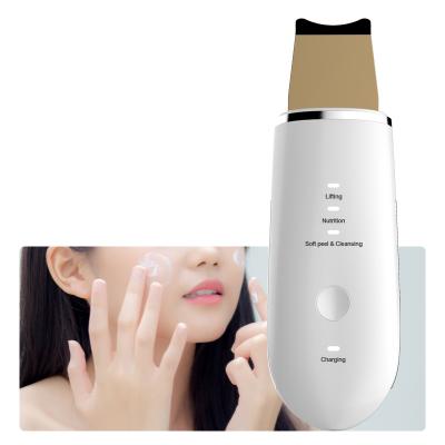 China New Radio Facial Skin Massager Skin Scrubber Face Skin Scrubber Beauty DEEP CLEANSING Clean Filling Device for sale