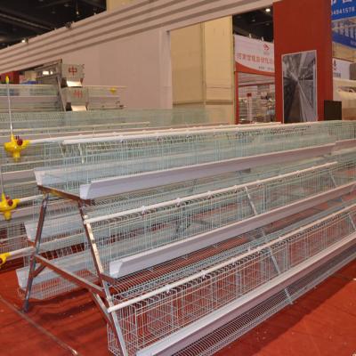 China Farms poultry equipment broiler and layer chicken cage for poultry farm egg chicken layers for sale