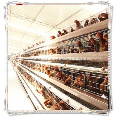 China And Long Life Durable Galvanized Chicken Layer Cage Steel Structure Poultry Housing For Sale for sale