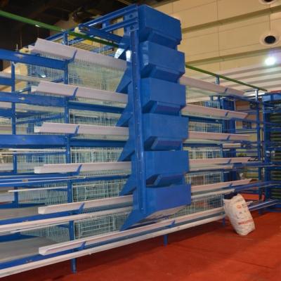 China Farms 2019 Hot Selling Low Price High Quality Poultry Cages For Chiken for sale