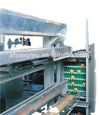 China Farms Chicken Farm Equipment Poultry Equipment Egg Collecting Machinery for sale