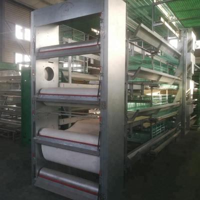 China Chicken Farm Popular Use Automatic Poultry Fertilizer Removing Main System Machine for sale