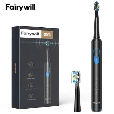 China Fairywill FW E6 Fairy Will Wholesale Bulk Ultrasonic Dental Electrical Electronic Electric Tooth Brush Toothbrush with 2 Heads for sale