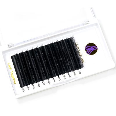 China Full Volume Siberian Mink Lashes Wholesale Eyelash Extensions From China for sale