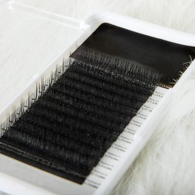 China Full Volume False Eyelashes 0.07mm YY Shaped Dense False Eyelashes Eyelash Extension Grafting False Lashes for sale